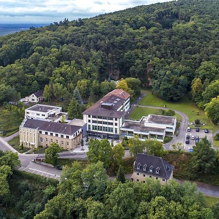 Kloster Neustadt Neustadt an der Weinstraße المظهر الخارجي الصورة