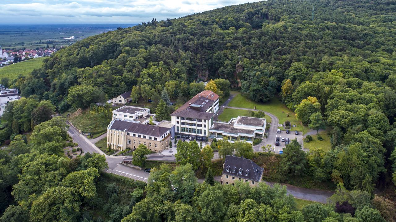 Kloster Neustadt Neustadt an der Weinstraße المظهر الخارجي الصورة
